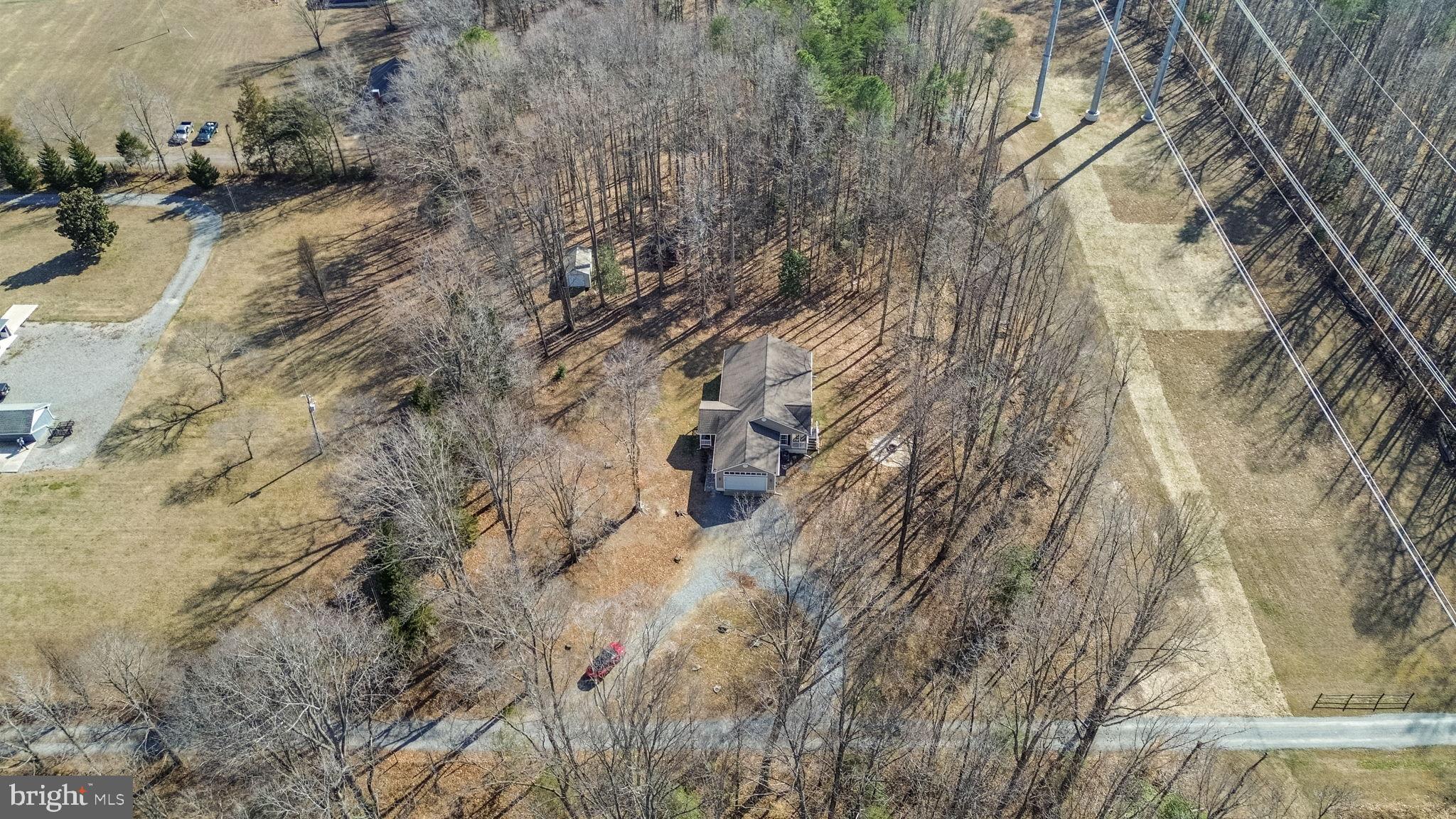 16352 Bullocks Road Ruther Glen, VA 22546 - Photo 29 of 29 a view of a yard with plants and trees