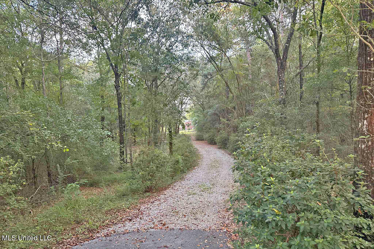 202 Howell Road Lucedale, MS 39452 - Photo 2 of 48 1 (2)