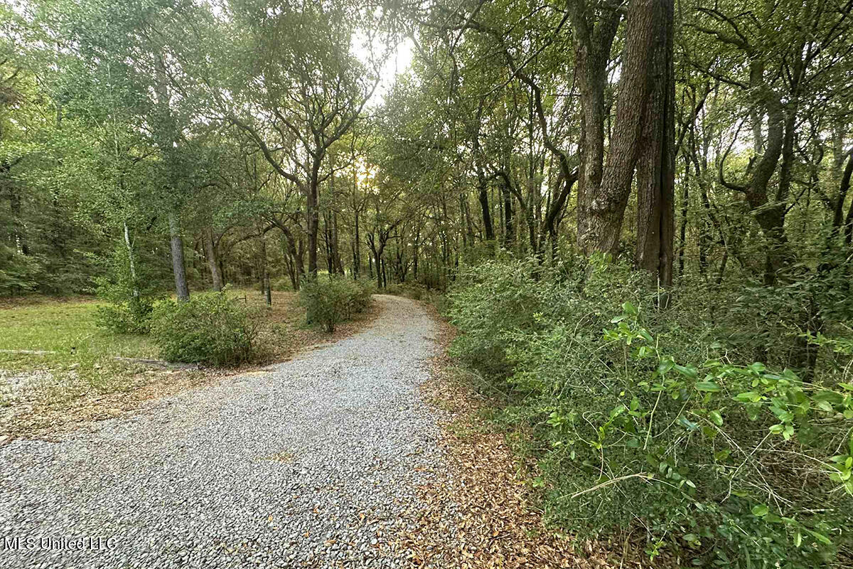 202 Howell Road Lucedale, MS 39452 - Photo 46 of 48 6 (5)