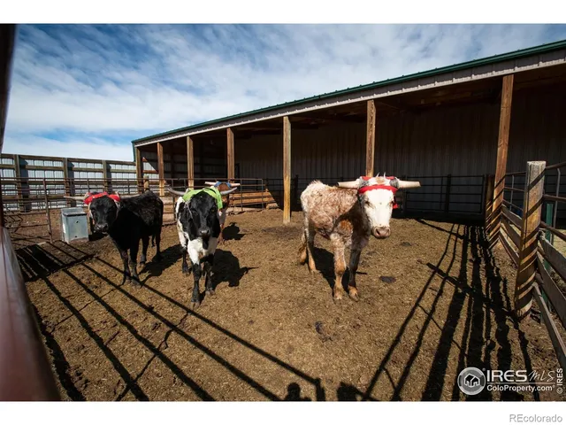 $4,500,000 | 23930 Highway 287, Livermore, CO 80536