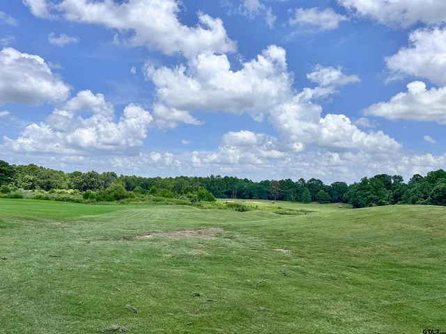 a view of a lake from a yard