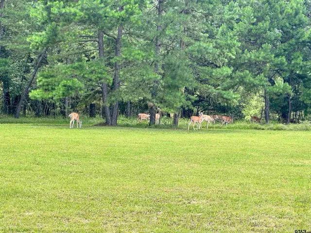 a garden view with a seating space