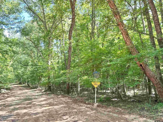 a backyard of a house with lots of trees