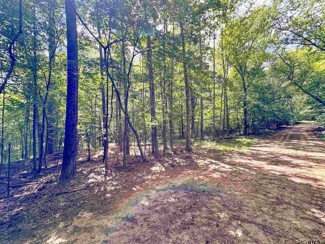 a view of outdoor space with trees
