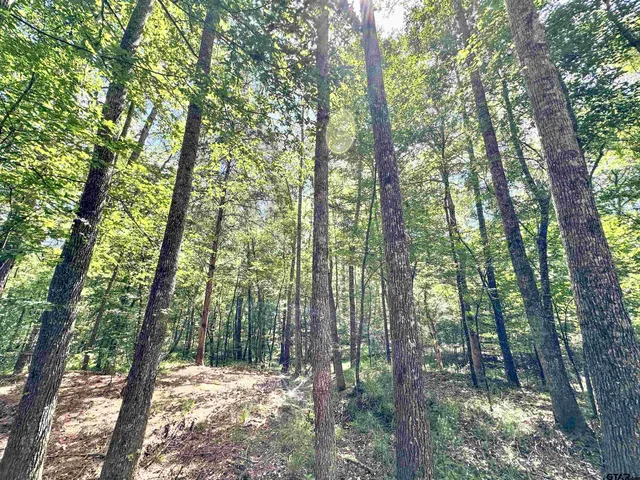 a view of a bench in a garden