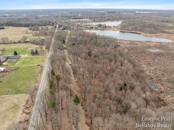 $525,000 | Vl Hutchinson Road, Dowling, MI 49050