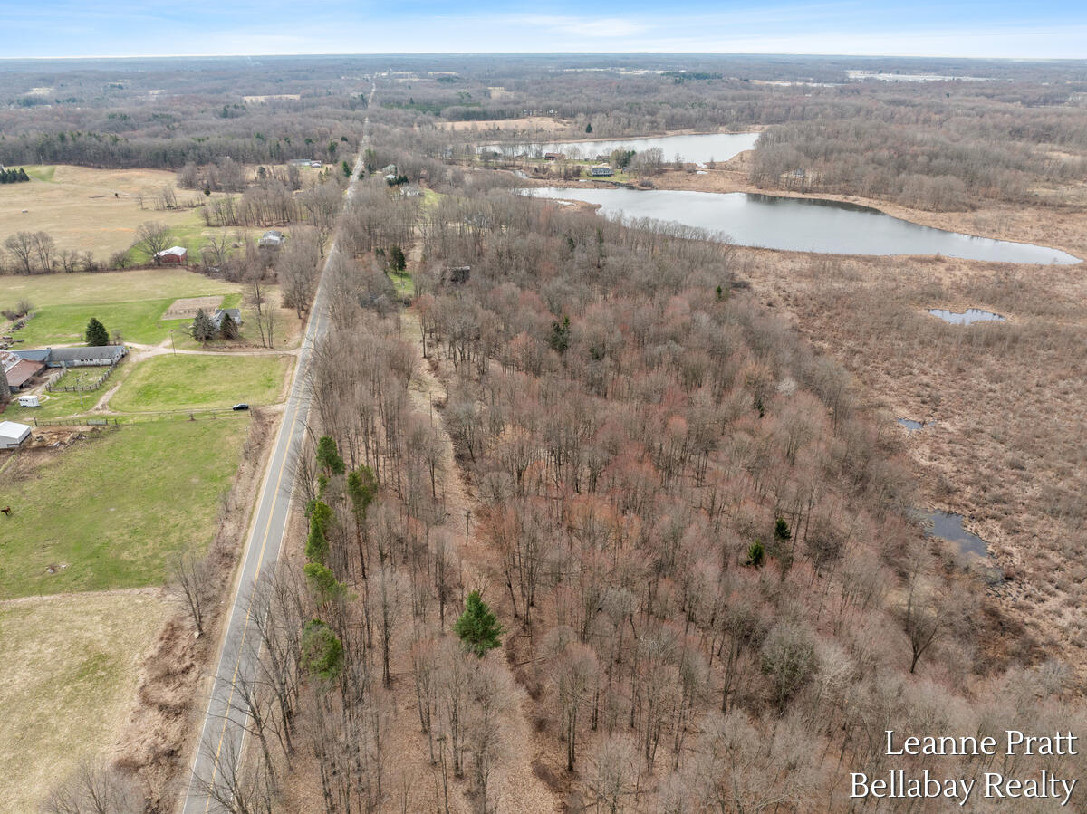 Vl Hutchinson Road Dowling, MI 49050 - Photo 2 of 9 12950-Hutchinson_204