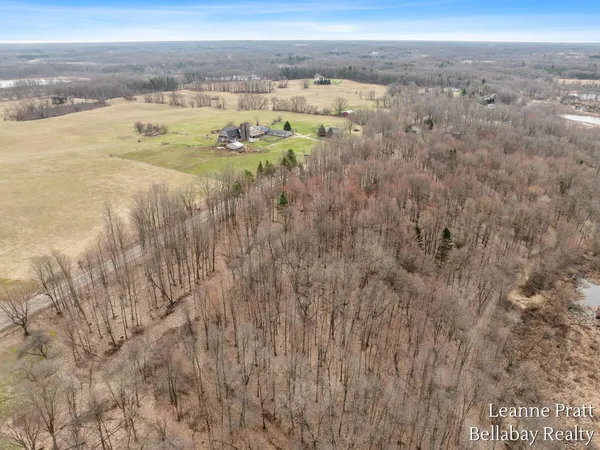 $525,000 | Vl Hutchinson Road, Dowling, MI 49050