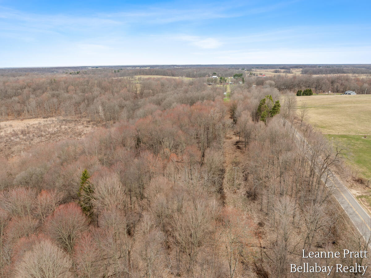 Vl Hutchinson Road Dowling, MI 49050 - Photo 4 of 9 12950-Hutchinson_206
