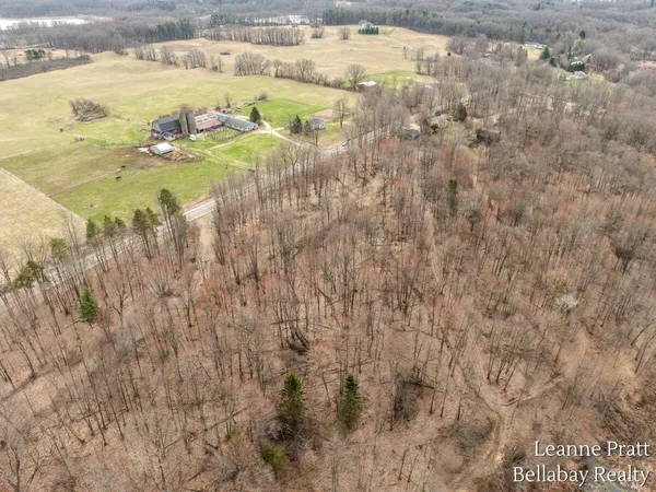 $525,000 | Vl Hutchinson Road, Dowling, MI 49050