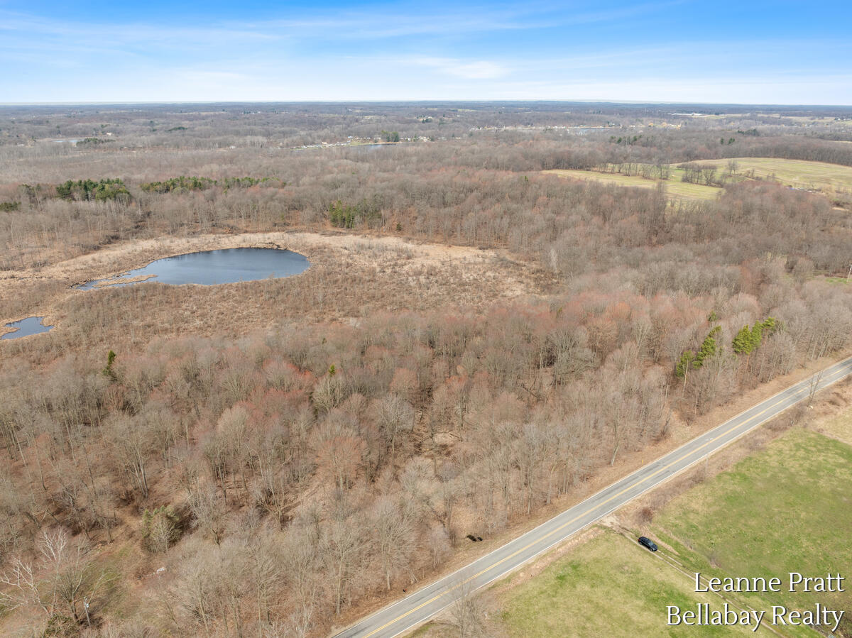 Vl Hutchinson Road Dowling, MI 49050 - Photo 6 of 9 12950-Hutchinson_202