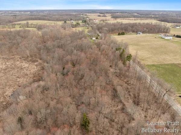 $525,000 | Vl Hutchinson Road, Dowling, MI 49050