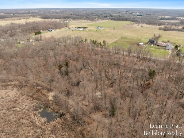 $525,000 | Vl Hutchinson Road, Dowling, MI 49050