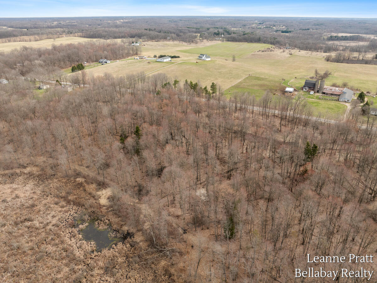 Vl Hutchinson Road Dowling, MI 49050 - Photo 8 of 9 12950-Hutchinson_208