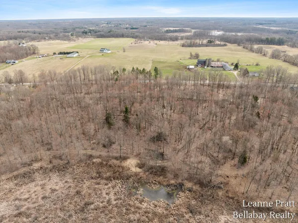 $525,000 | Vl Hutchinson Road, Dowling, MI 49050