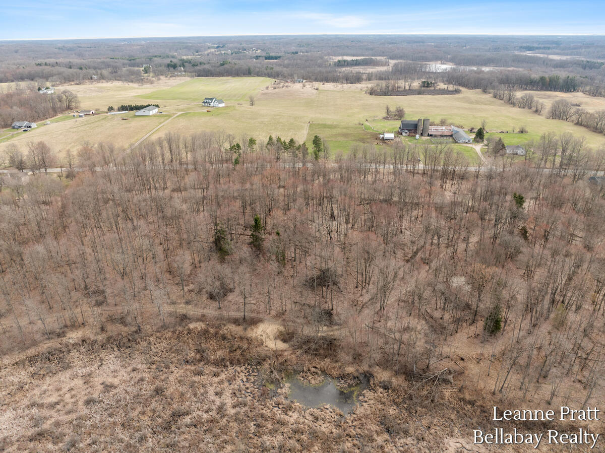 Vl Hutchinson Road Dowling, MI 49050 - Photo 9 of 9 12950-Hutchinson_209