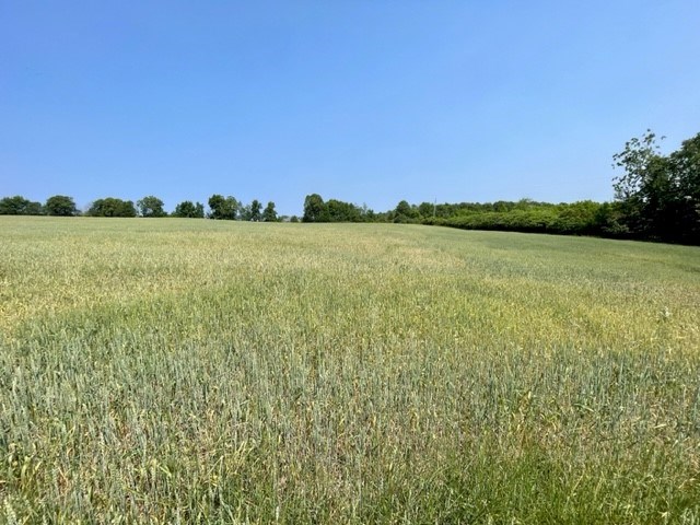 Sunny Point Road Egg Harbor, WI 54209 - Photo 2 of 9 Gallery Image 2
