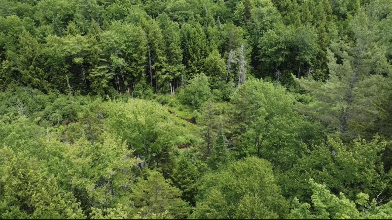 Lot 14 Hanslip Road Wilton, ME 04294 - Photo 9 of 11