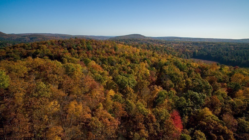 597 Old Warren Road Palmer, MA 01069 - Photo 33 of 37 an aerial view of houses covered in trees