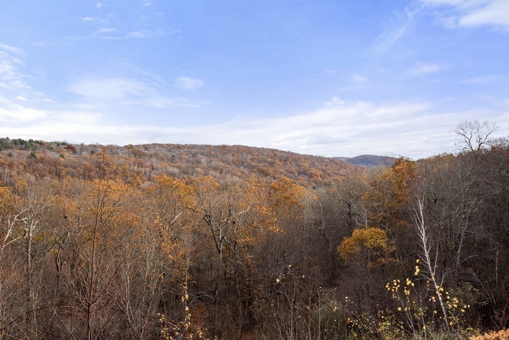 597 Old Warren Road Palmer, MA 01069 - Photo 34 of 37 a view of a city with lush green forest