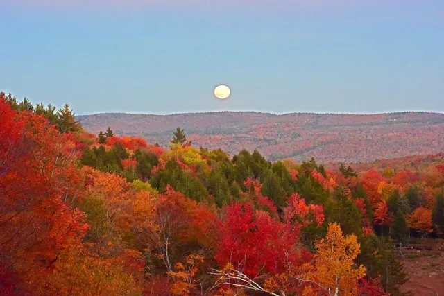 $475,000 | 104 Johnny Cake Hill Lane, Readsboro, VT 05350