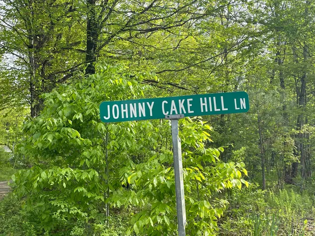 $475,000 | 104 Johnny Cake Hill Lane, Readsboro, VT 05350