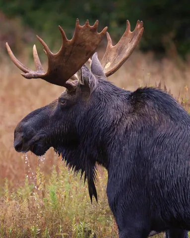 $475,000 | 104 Johnny Cake Hill Lane, Readsboro, VT 05350
