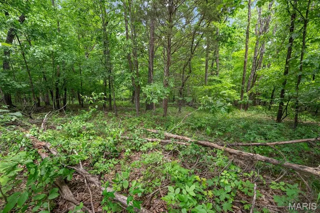 $410,000 | 4373 East Linda Lane, Robertsville, MO 63072