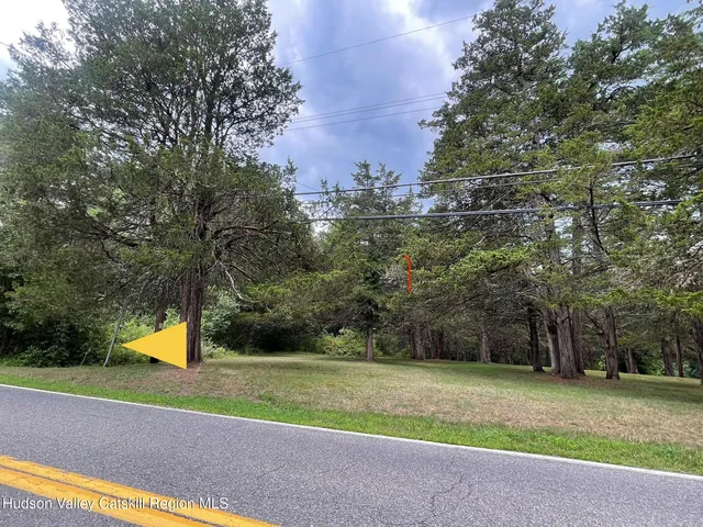 a view of a park with large trees