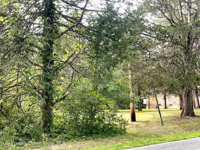 a tree in the middle of a yard