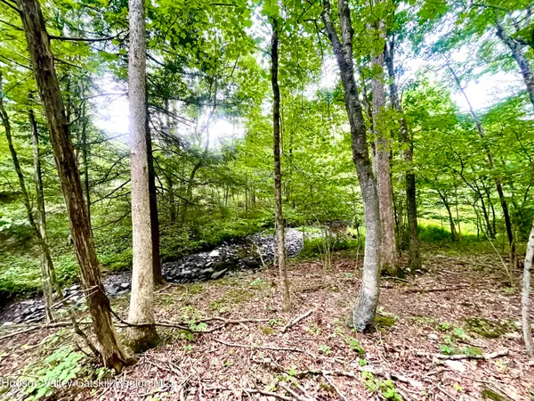 a view of backyard with green space