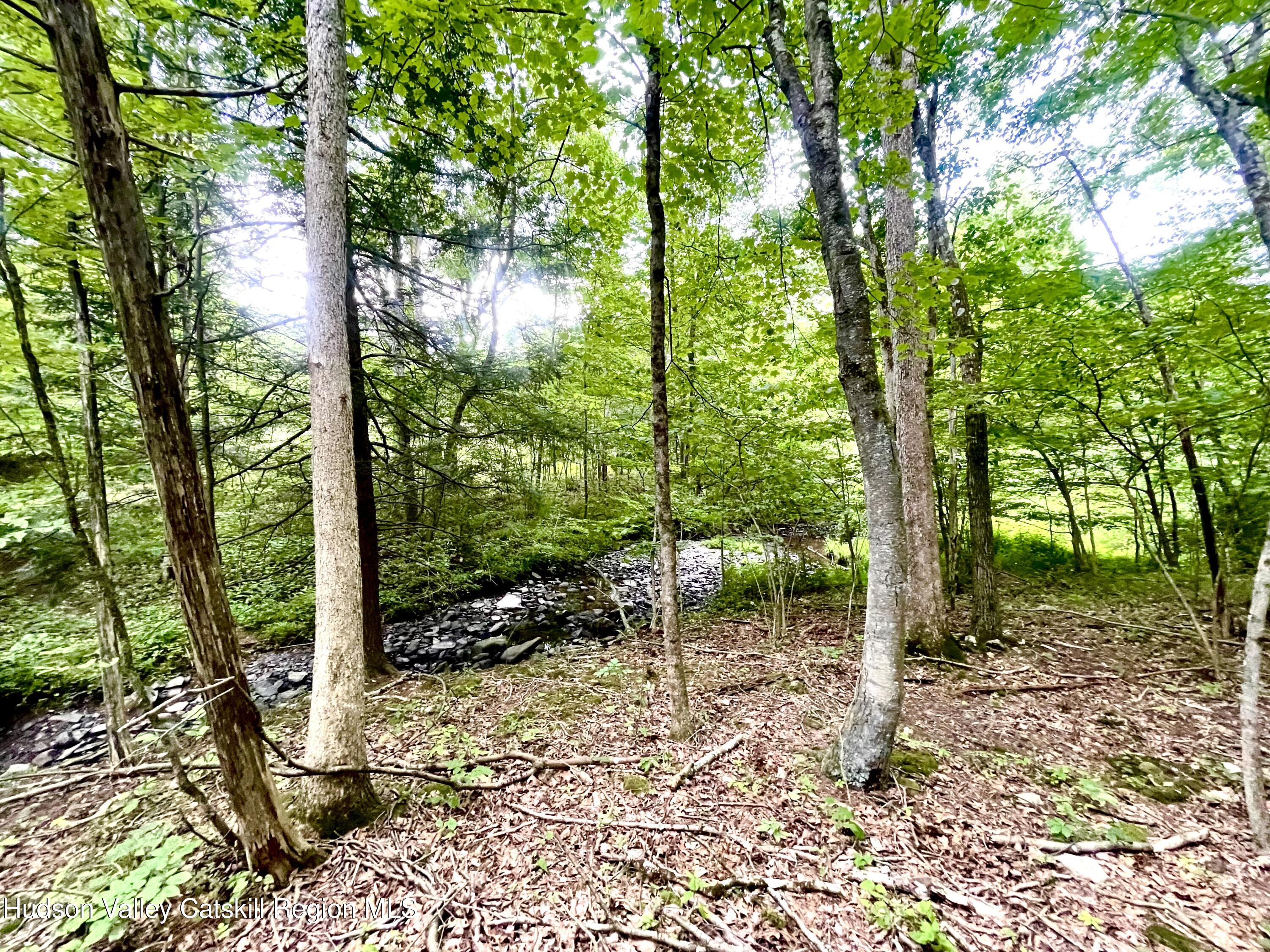 0 Cairo Junction Road Catskill, NY 12414 - Photo 4 of 8 a view of backyard with green space