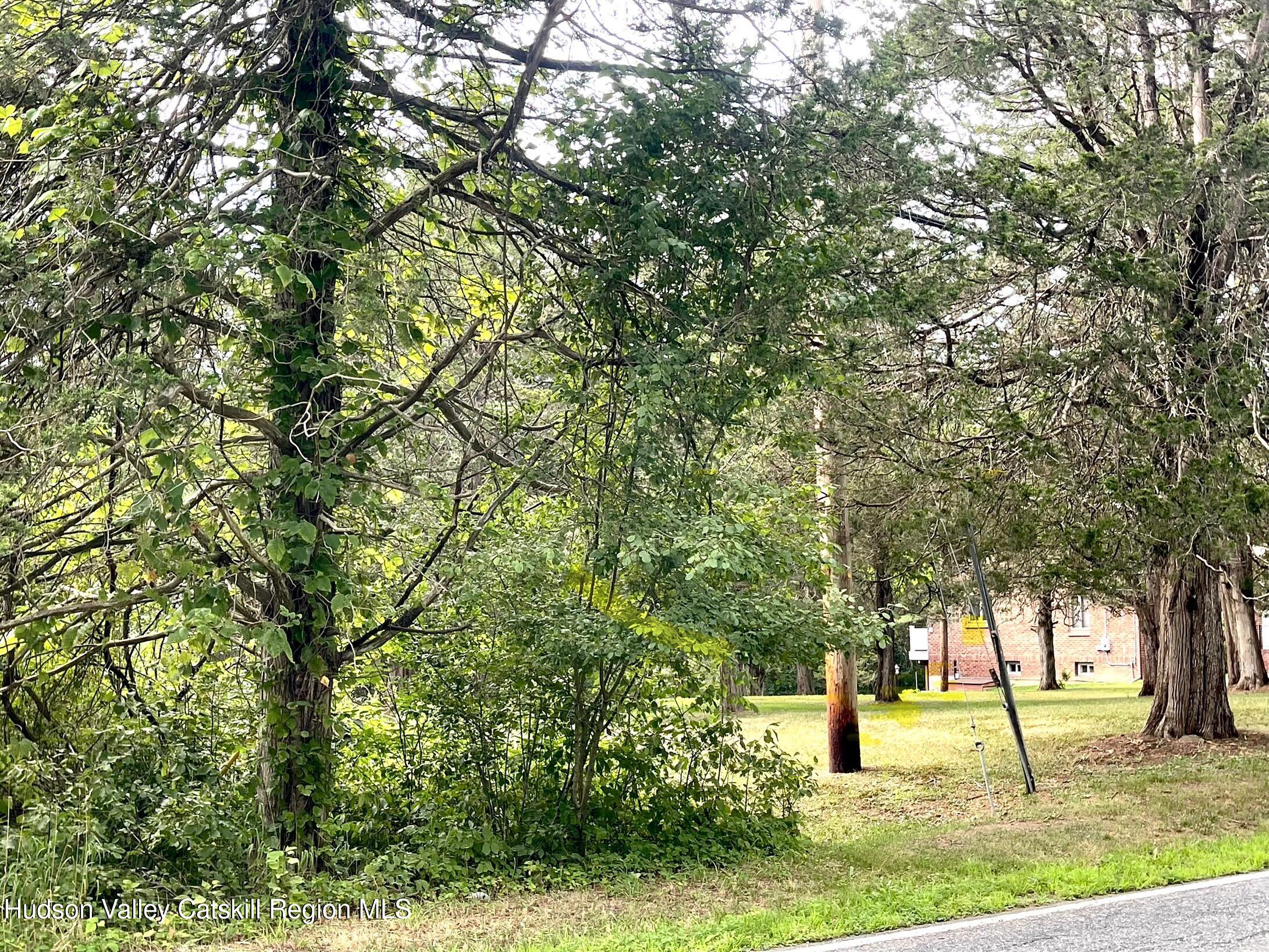 0 Cairo Junction Road Catskill, NY 12414 - Photo 4 of 8 a tree in the middle of a yard