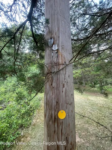 a view of a trees with wooden fence