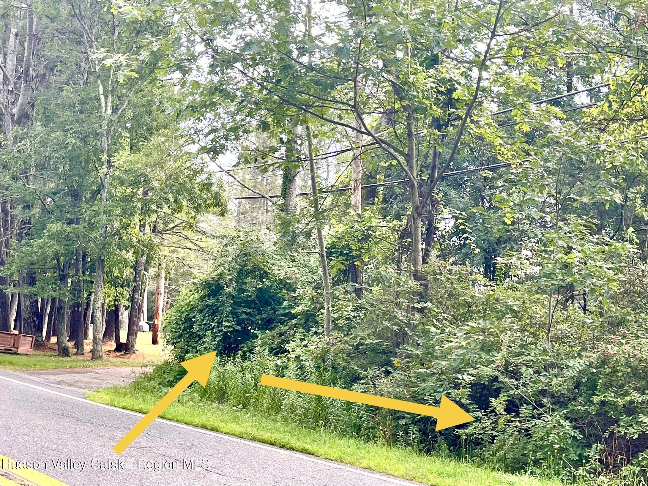 0 Cairo Junction Road Catskill, NY 12414 - Photo 5 of 8 a view of backyard with swimming pool