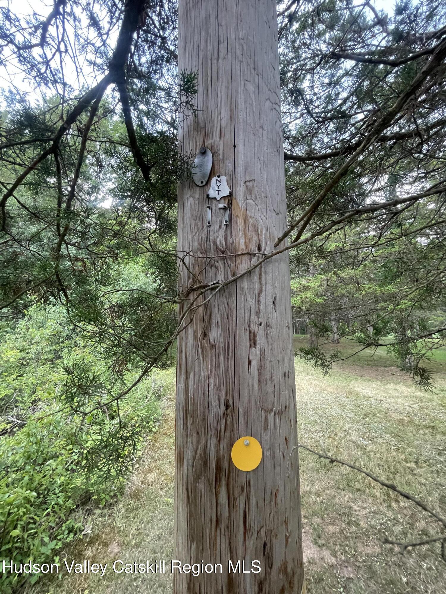 0 Cairo Junction Road Catskill, NY 12414 - Photo 6 of 8 a view of a trees with wooden fence