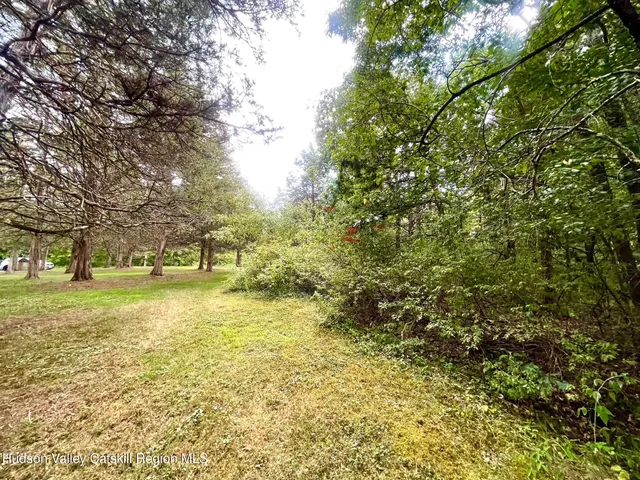 a view of a yard with plants and trees