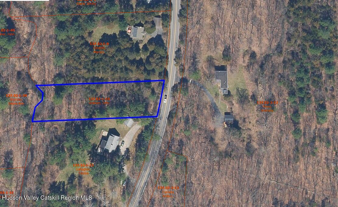 0 Cairo Junction Road Catskill, NY 12414 - Photo 7 of 8