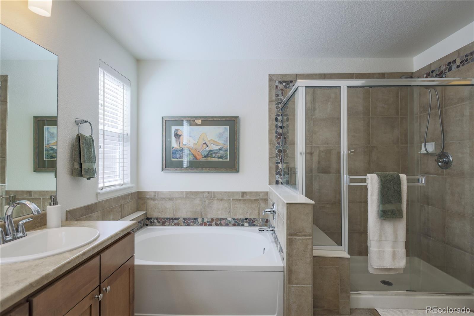 3754 Broadview Place Castle Rock, CO 80109 - Photo 24 of 43 a bathroom with a tub sink and mirror