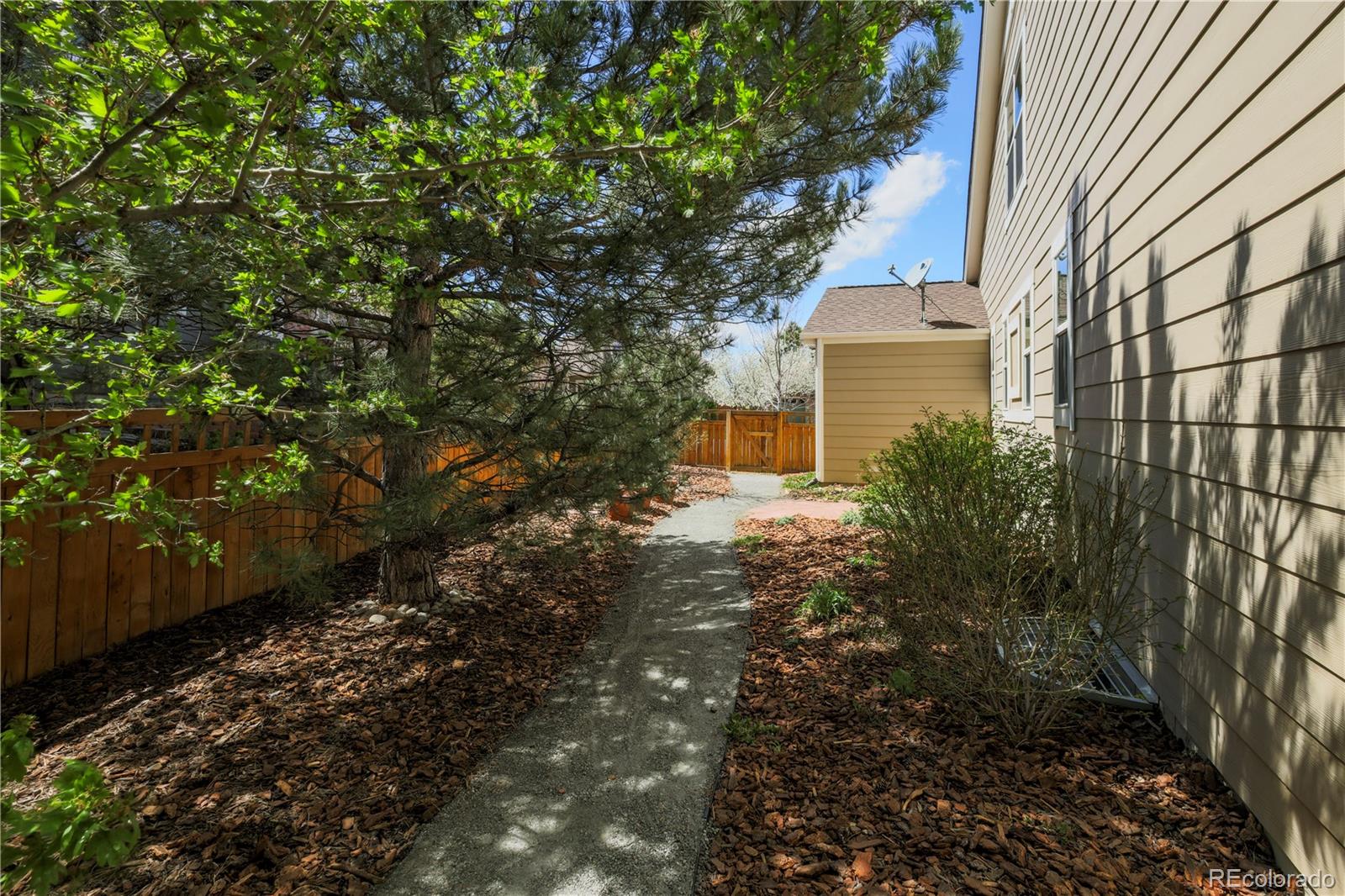3754 Broadview Place Castle Rock, CO 80109 - Photo 38 of 43 a view of a back yard