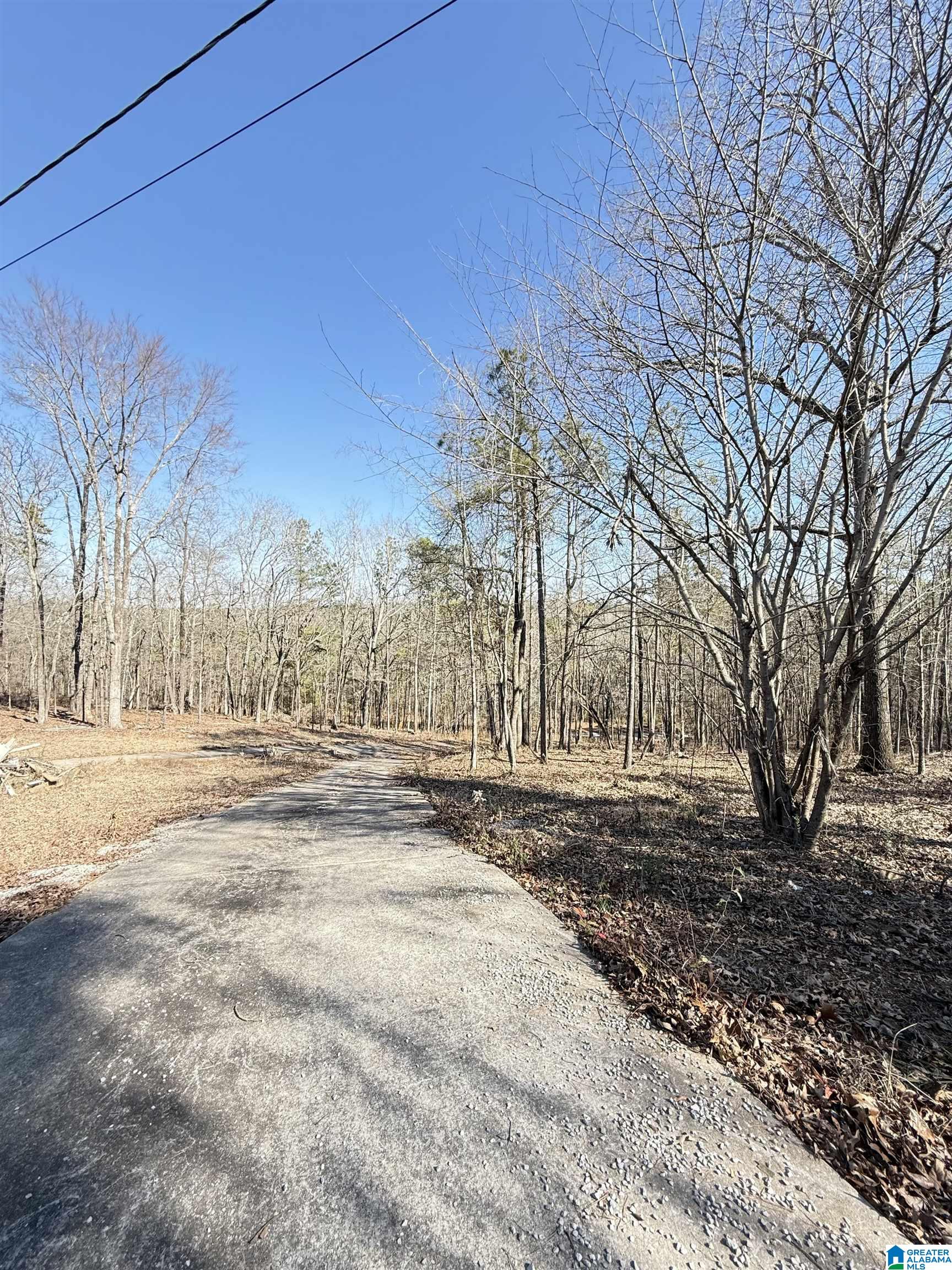 295 Country Lane Talladega, AL 35160 - Photo 42 of 42