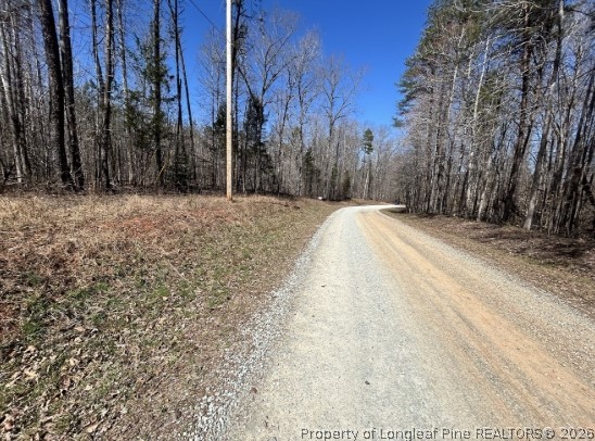 Pointe Mayo Drive Roxboro, NC 27574 - Photo 12 of 24 a view of empty space with trees