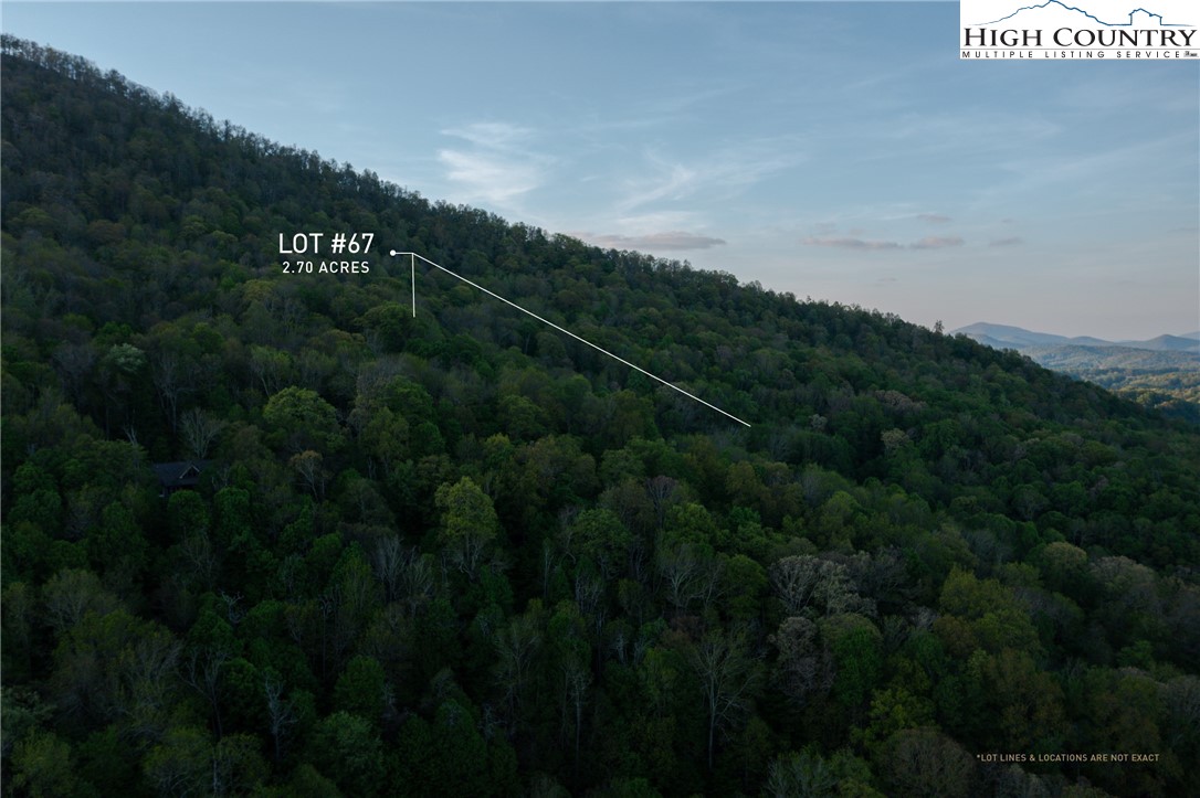 Lot 67 Fire Pink Road Boone, NC 28607 - Photo 2 of 12 Gallery Image 2