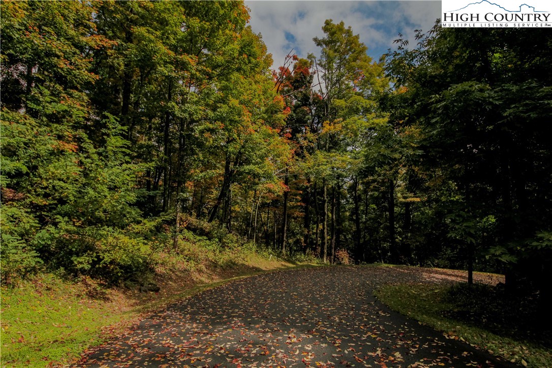 Lot 67 Fire Pink Road Boone, NC 28607 - Photo 3 of 12 Gallery Image 3