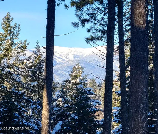 $295,000 | Wildflower Way, Sandpoint, ID 83864