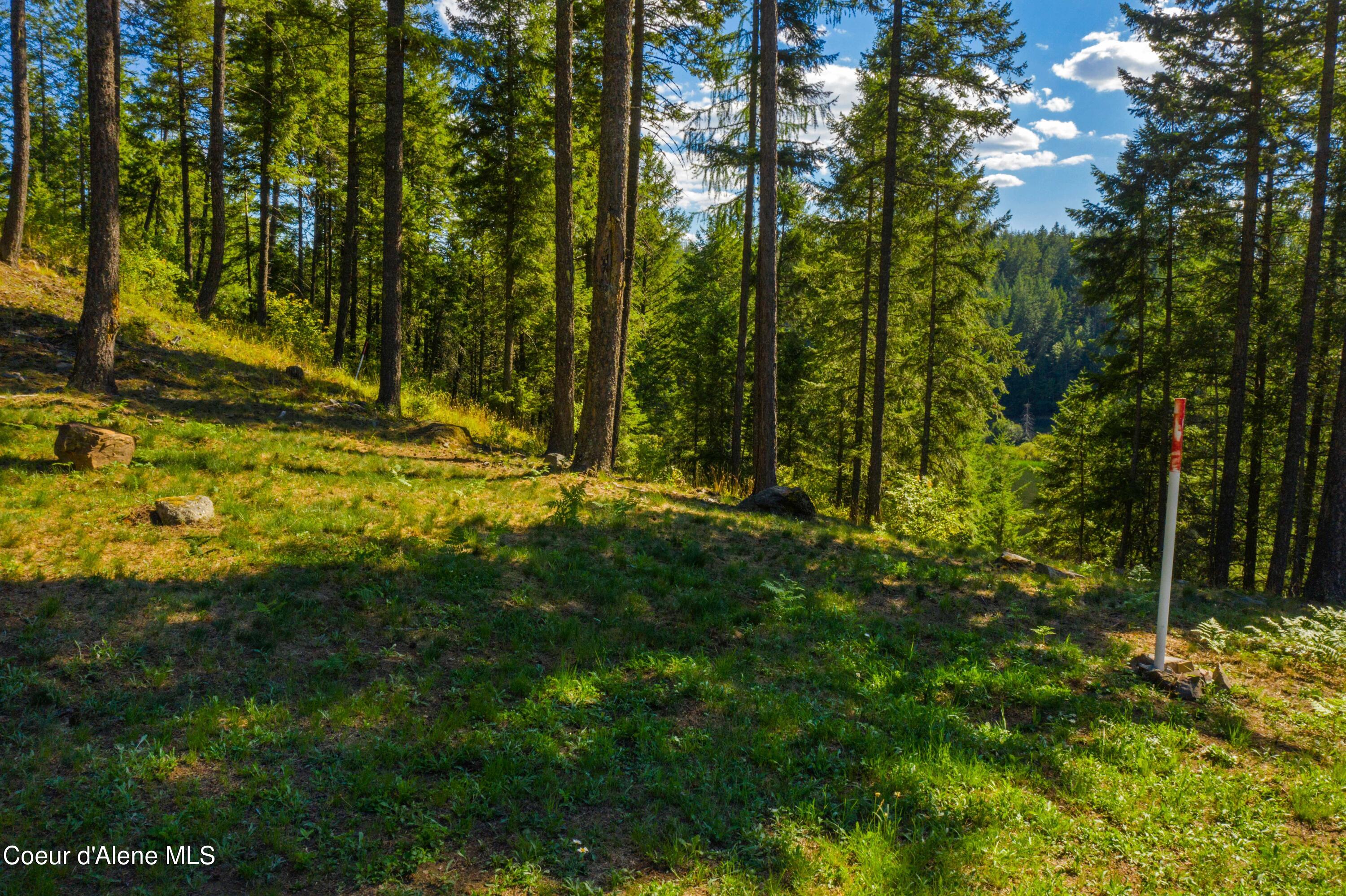 Wildflower Way Sandpoint, ID 83864 - Photo 12 of 45 WWLOT_15