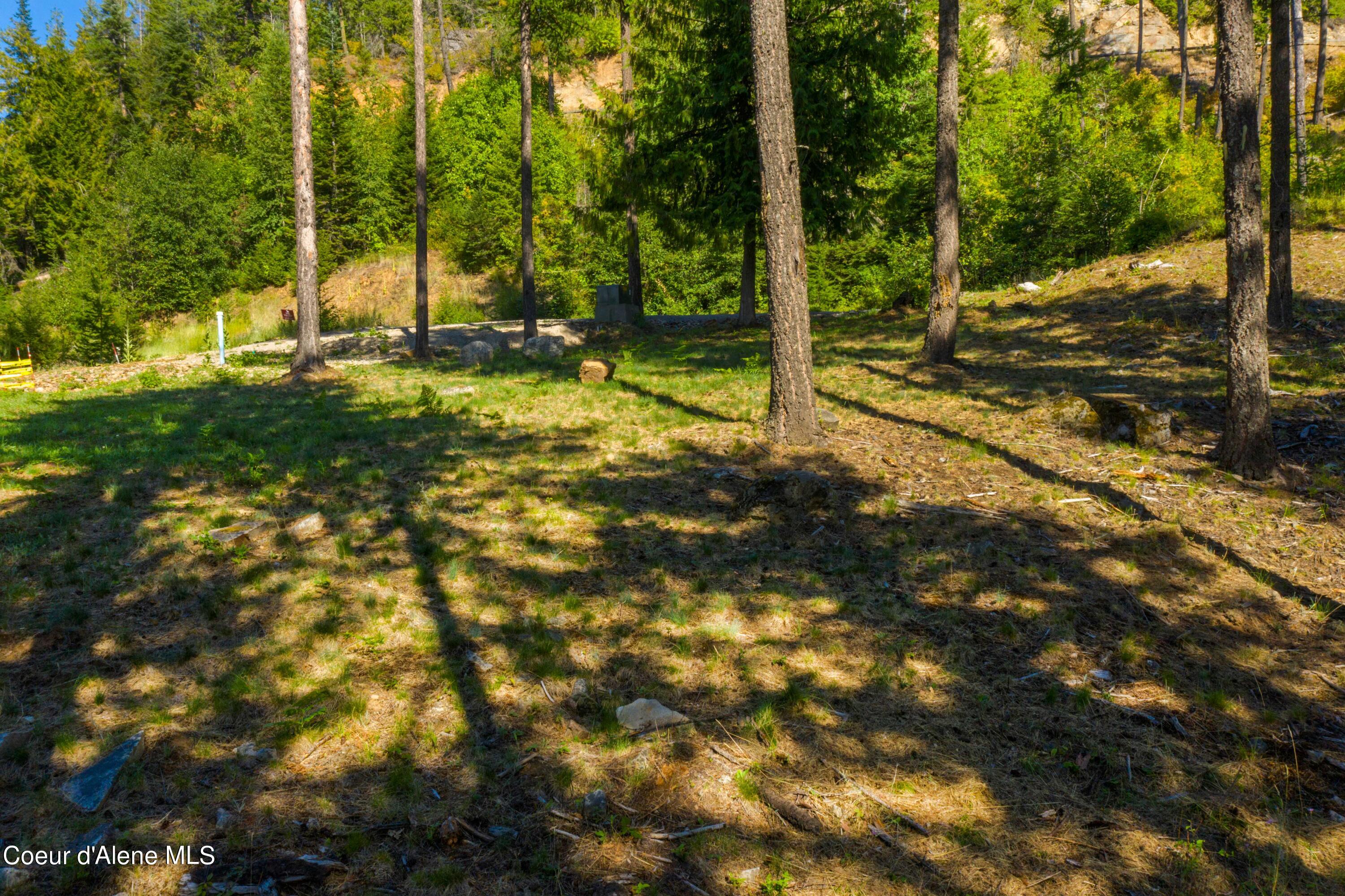 Wildflower Way Sandpoint, ID 83864 - Photo 13 of 45 WWLOT_16