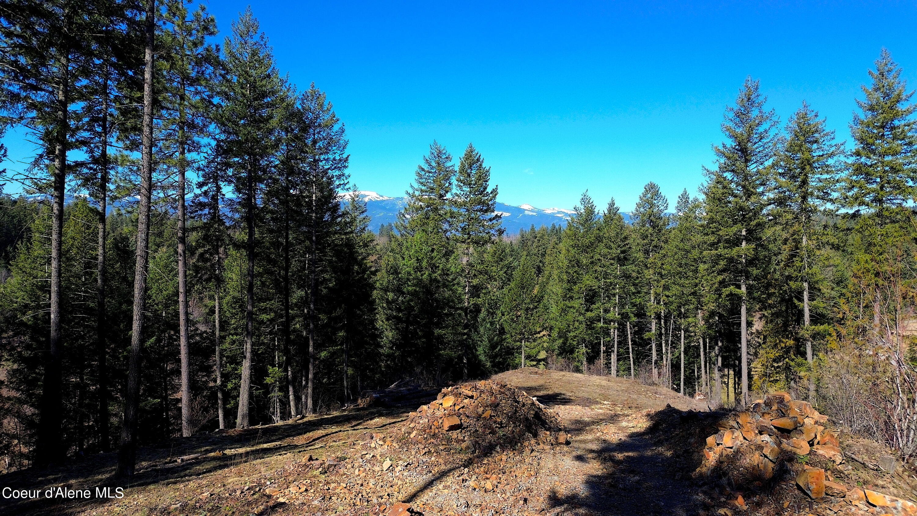 Wildflower Way Sandpoint, ID 83864 - Photo 15 of 45 2 copy