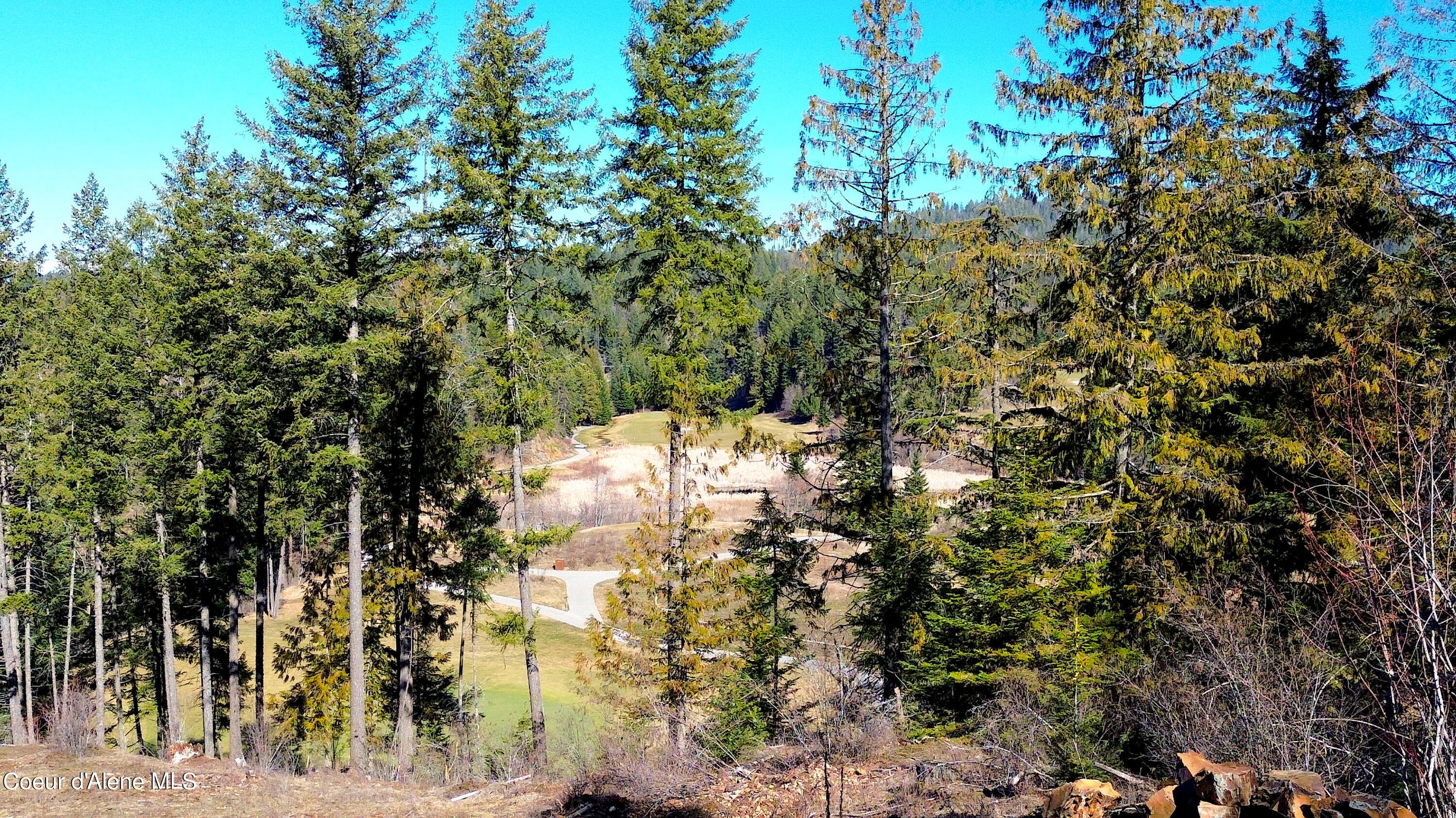 Wildflower Way Sandpoint, ID 83864 - Photo 16 of 45 3 copy