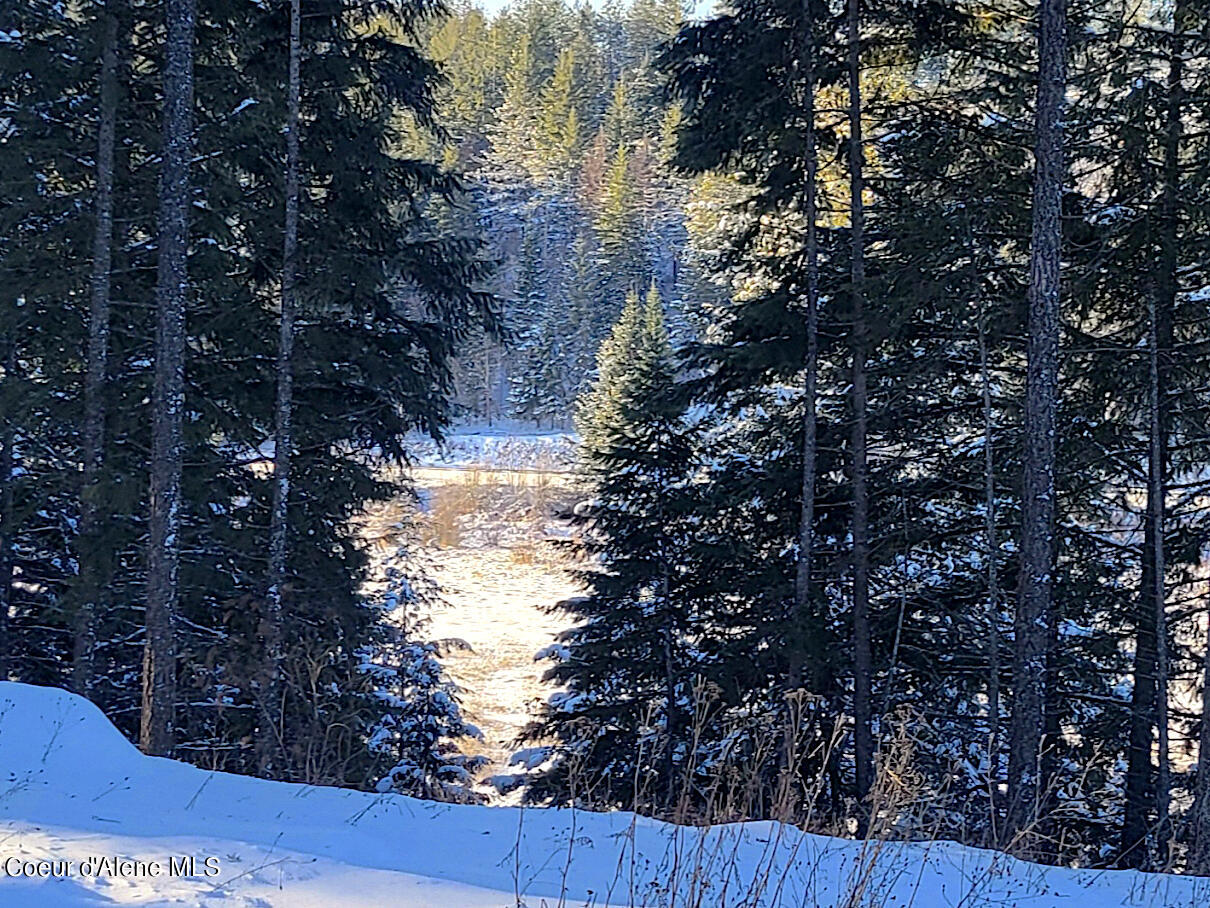 Wildflower Way Sandpoint, ID 83864 - Photo 19 of 45 6 copy